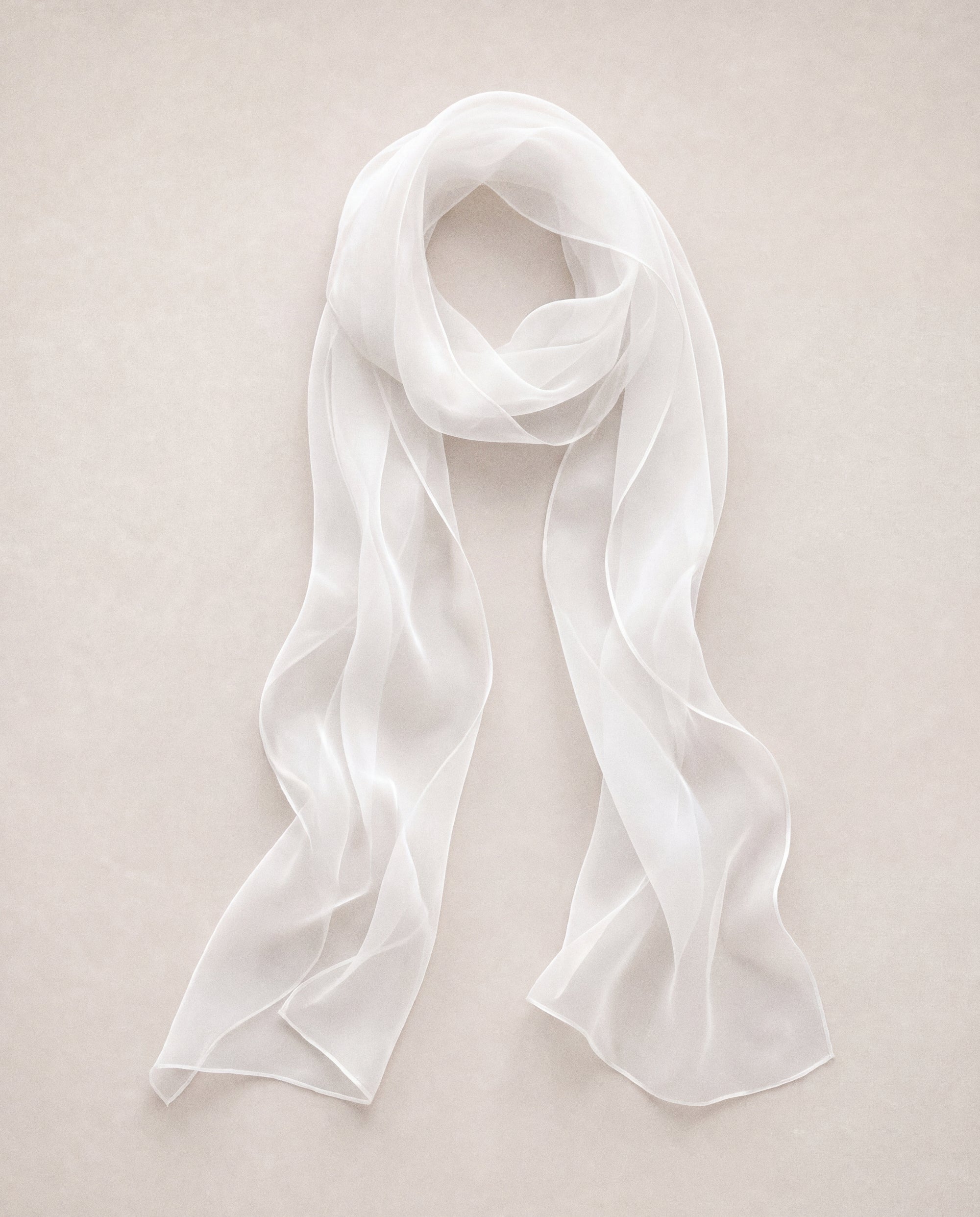 Silk Organza Scarf